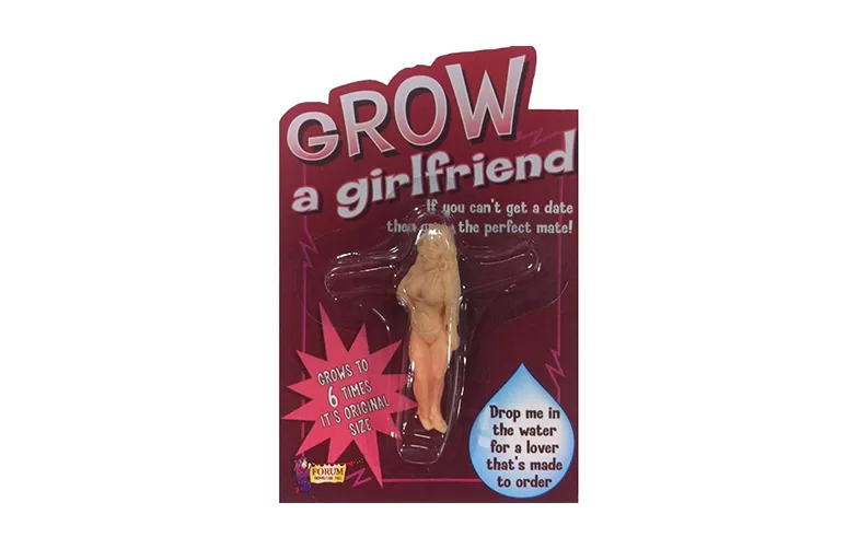 Grow a Girlfriend: The Perfect Companion for Those Who Want Zero Drama